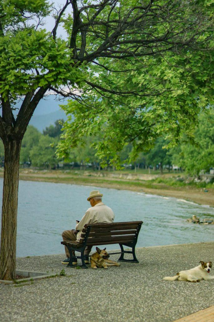 Map highlighting the best US states for retirement with low taxes.